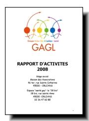 rapport-activite-2008