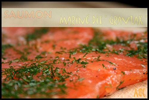 Saumon mariné ou gravlax (3)