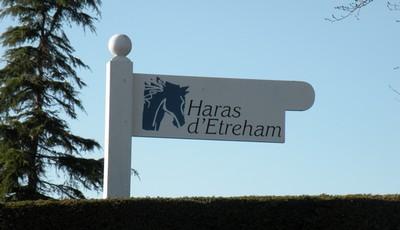 Haras d'Etreham (28.03.09)