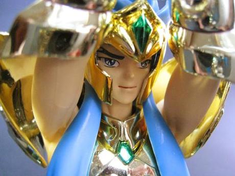 [Fig] Appendix verseau