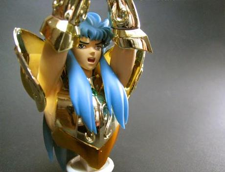 [Fig] Appendix verseau