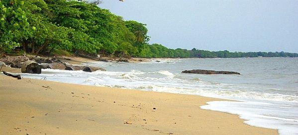 plage du Gabon : ananas et farniente face aux vagues