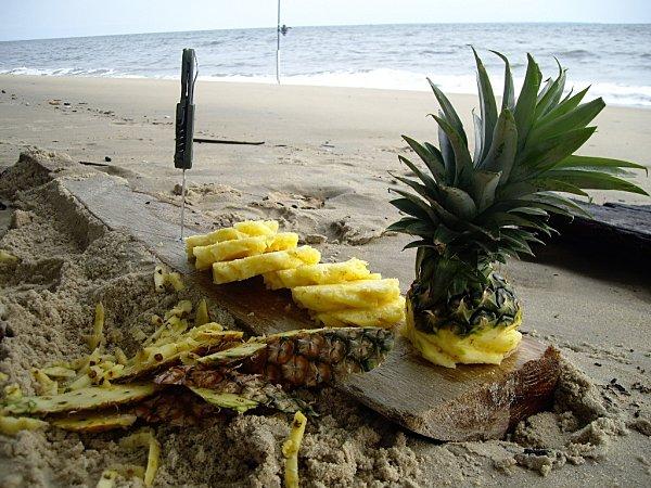plage du Gabon : ananas et farniente face aux vagues