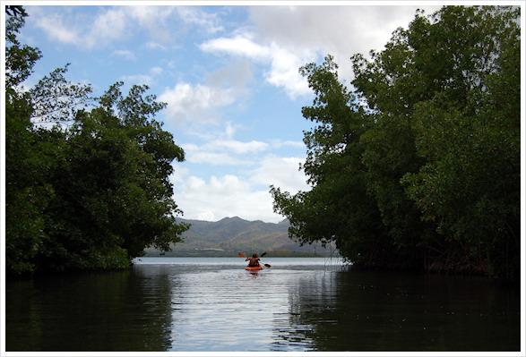 Il en va des bonnes choses comme des haricots... *