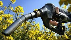 Biocarburant - L'E10, ce nouveau carburant qui irrite les écologistes