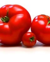 En Rouge et Vert : Bercy Village accueille les producteurs de Tomates et Concombres de France