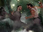 Wolverine piraté, sort griffes
