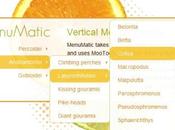 MenuMatic, menu deroulant avec MooTools