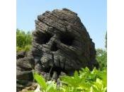 députés décident aujourd'hui l'avenir d'Hadopi