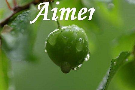 Peopleheart, Mankined heart ( Coeur de l'homme - Coeur de l'humanité)