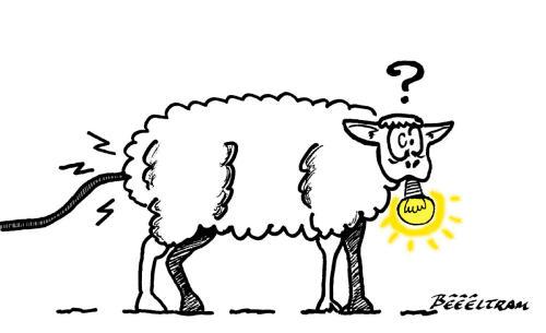 De l'art ou du mouton