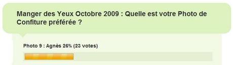 sondagemangerdesyeuxnovembre2009 Manger des Yeux … ne nuit pas à la Santé ! # 11 ;  Winners are :