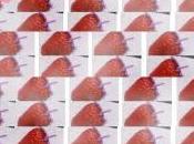 Fraises Acrostiche Véronique Dubois