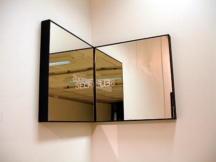 Two Mirrors de Steven Scott