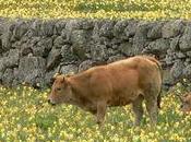 semaine sans que, dans paresse samedi matin,