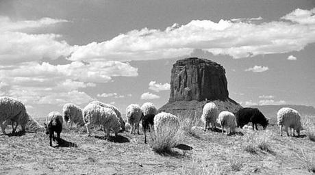 on est pas bien la ? - Sanleo pour Soliblog on est pas bien la ? - Sanleo pour Soliblog