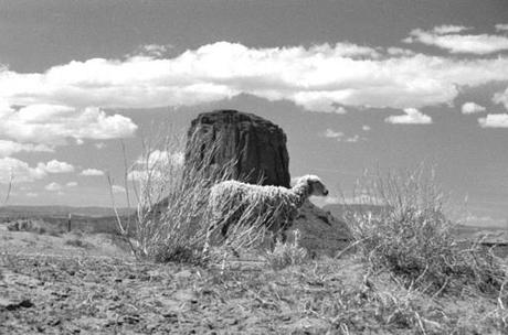 2 secondes, je passe - Sanleo pour Soliblog 2 secondes, je passe - Sanleo pour Soliblog