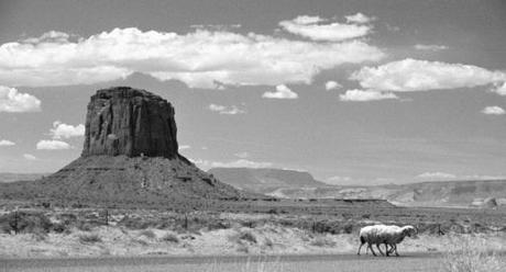 ah, je les vois... - Sanleo pour Soliblog ah, je les vois... - Sanleo pour Soliblog