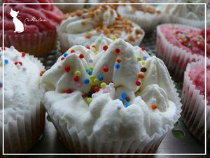 cupcakes_007_copier