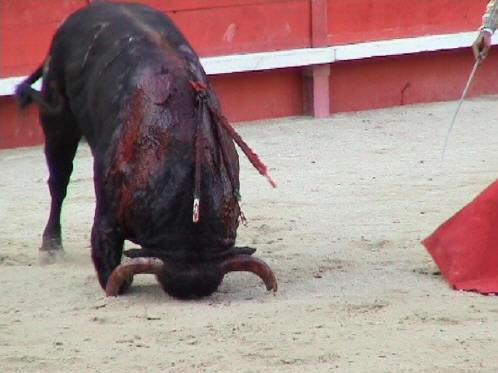 L'objet du scandale...Un scandale!