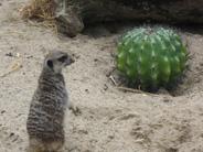 Appuyer sur pause pour un weekend...