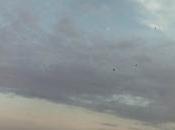 L'indécence Poème Véronique Dubois