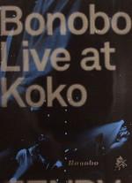 Bonobo Live Koko