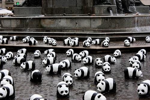 Panda invasion