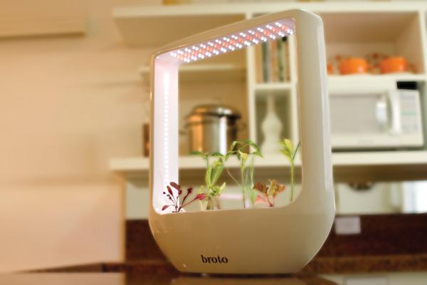 broto-domestic-greenhouse-1