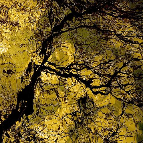 Denis Collette - Batik Art In My Wild River…!!!