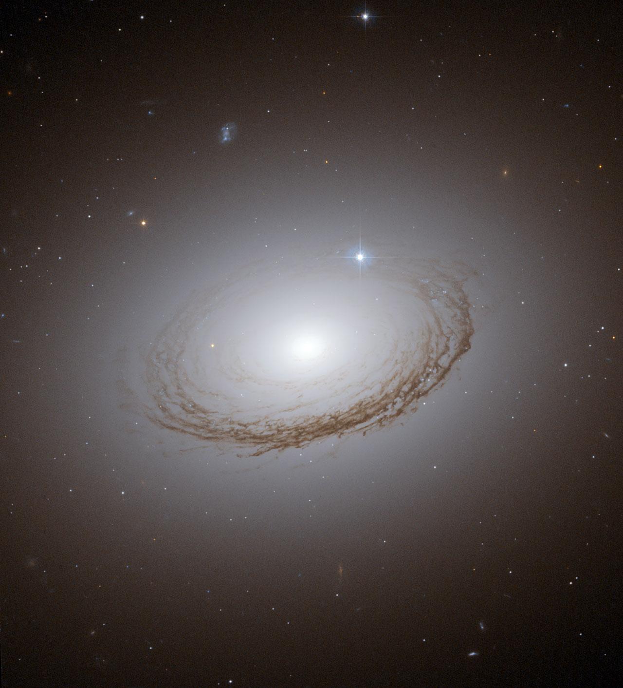 La grande galaxie spirale elliptique NGC 7049