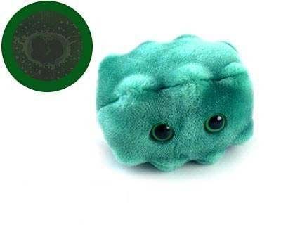 Peluches microbes