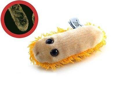 Peluches microbes