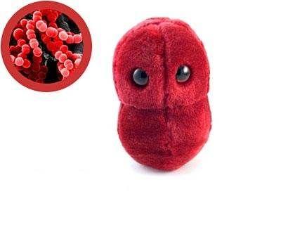 Peluches microbes
