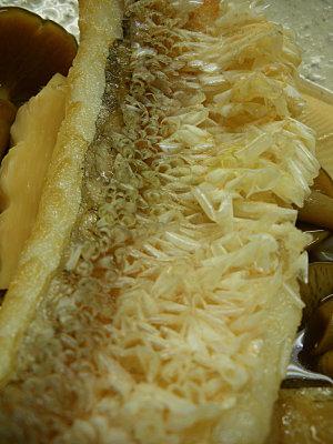 Amadai en croute d'ecailles,poelee de champignons japonais et pousse de bambou