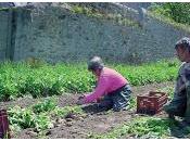 quatre saisons ProNatura