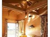 Quoi Neuf cette année