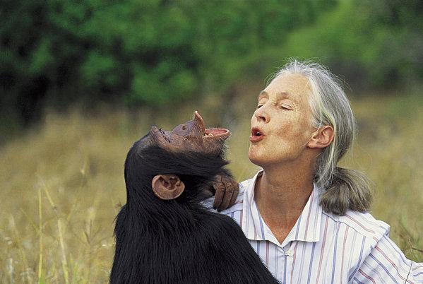 Jane Goodall à 75 ans