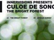 Culoe Song Bright Forest (2009)