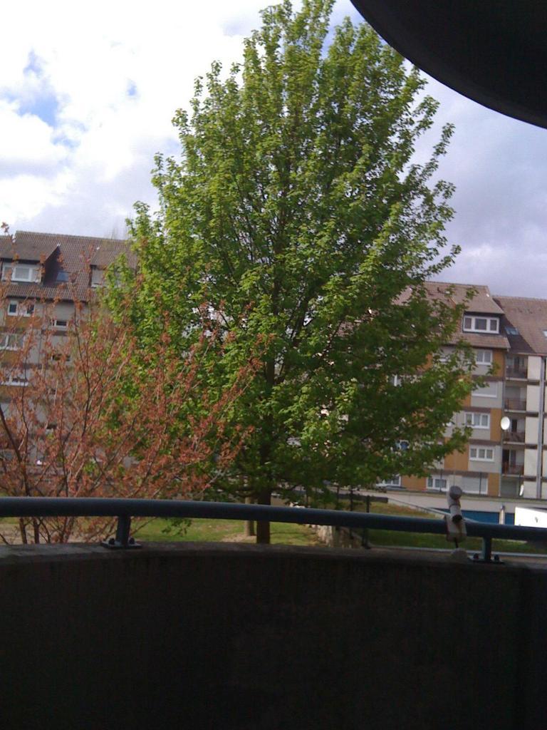 Le printemps est là, enfin presque!