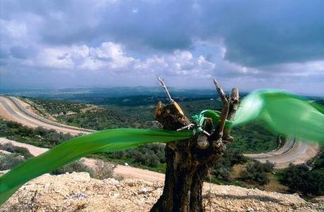 ligne_verte_alban_biaussat_2