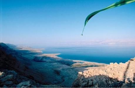 ligne_verte_alban_biaussat_41