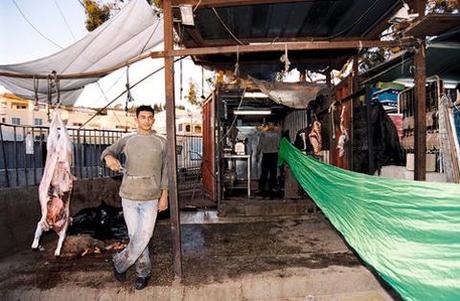 ligne_verte_alban_biaussat_3