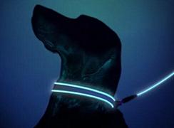 Bande lumineuse Lunabrite