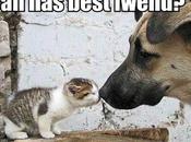 raisons pour lesquelles blogue