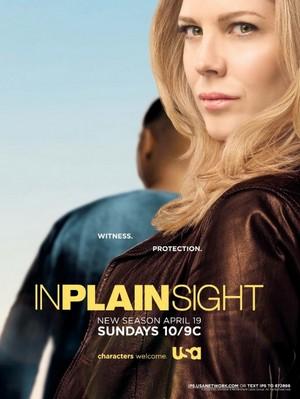 In Plain Sight