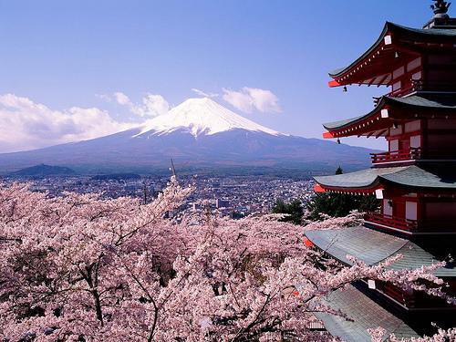 fuji-japan-cherry-blossoms