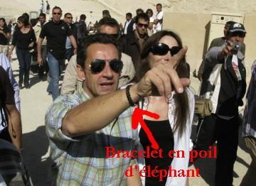 Sarkozy aime les bracelets en poils d'éléphant, illégaux ! | À Découvrir