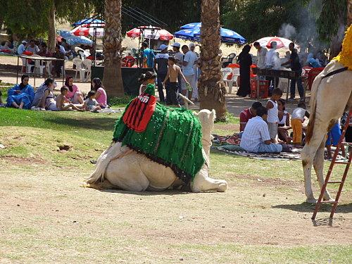 Voyage et repas en famille