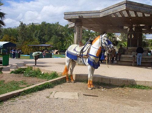 Voyage et repas en famille